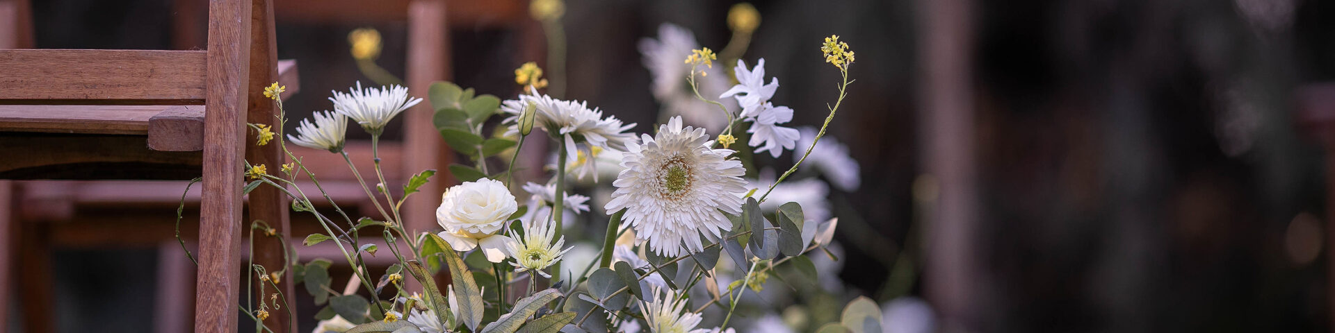 Poiesis Eventos - Portada