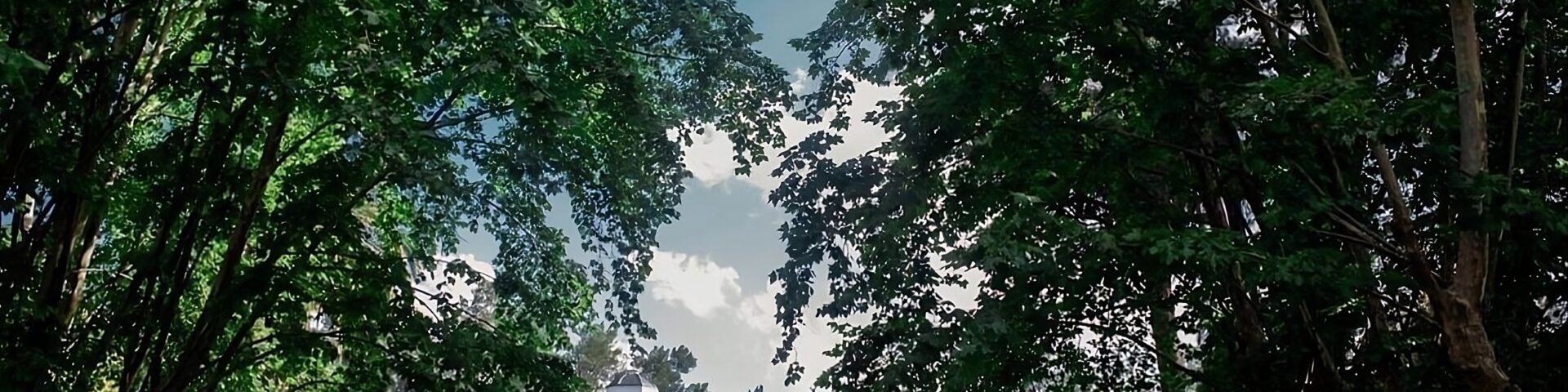 Estancia La Mimosa - Portada