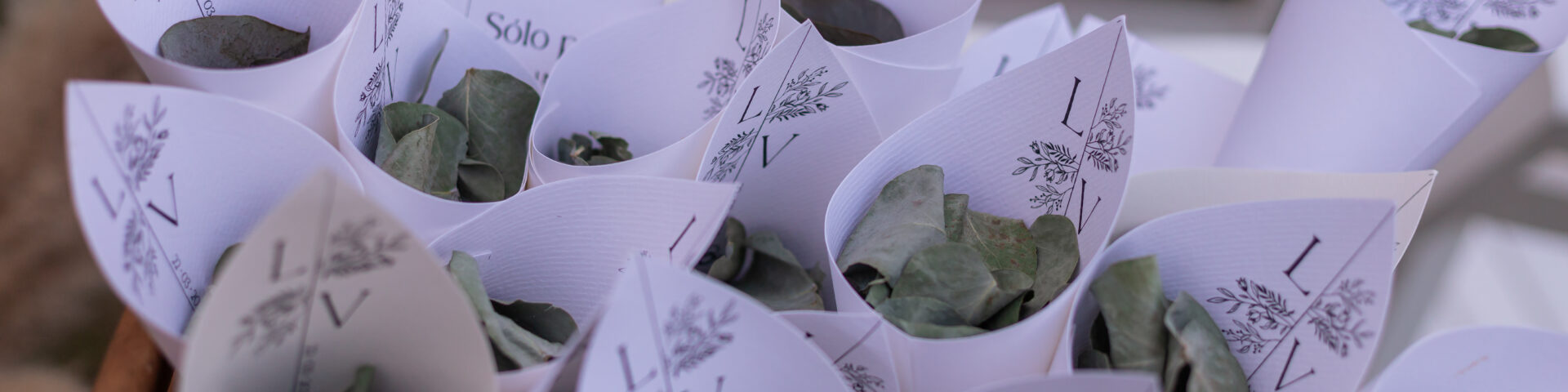 22 Studio Papel - Portada