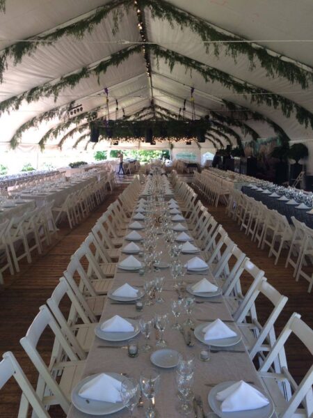 Vajilla Pehuen - Imagen principal