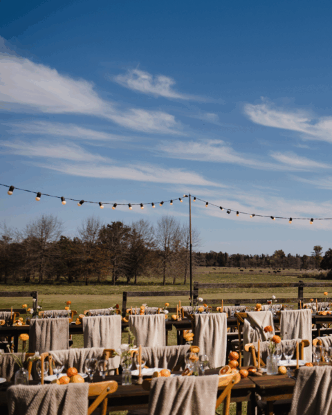 Wedding Helper - Imagen principal