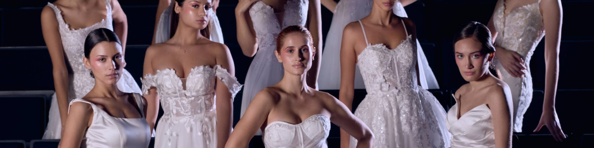 Veronica vaca vestidos - Portada