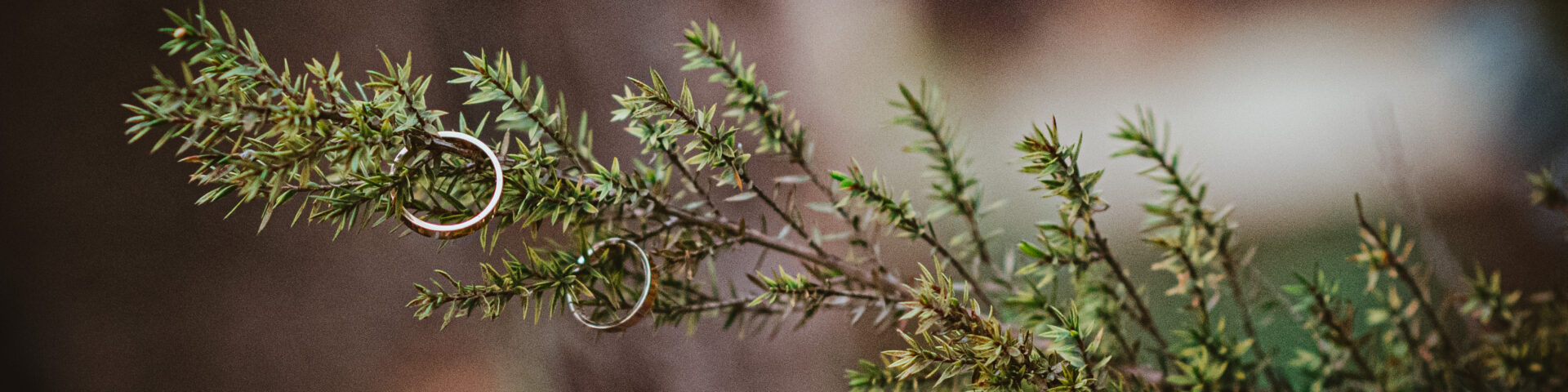 Nazarena Mora - Portada