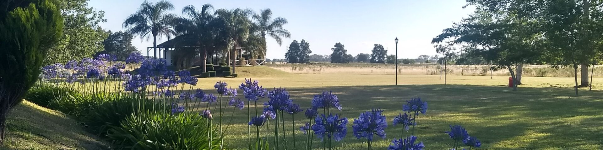 Los Charitos - Portada