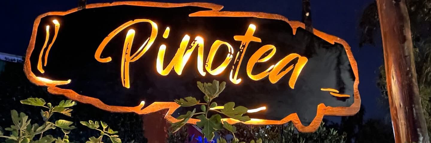 Pinotea Espacio - Portada