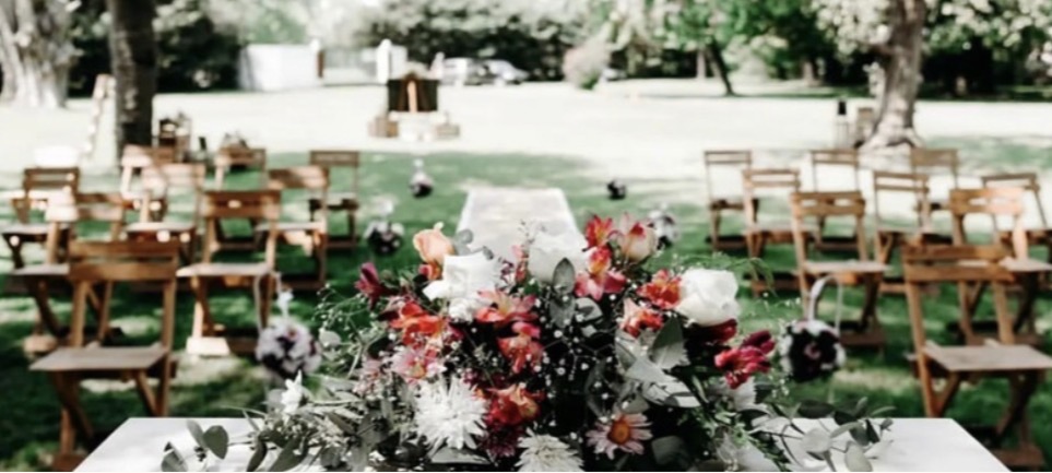 Quinta Nona - Portada