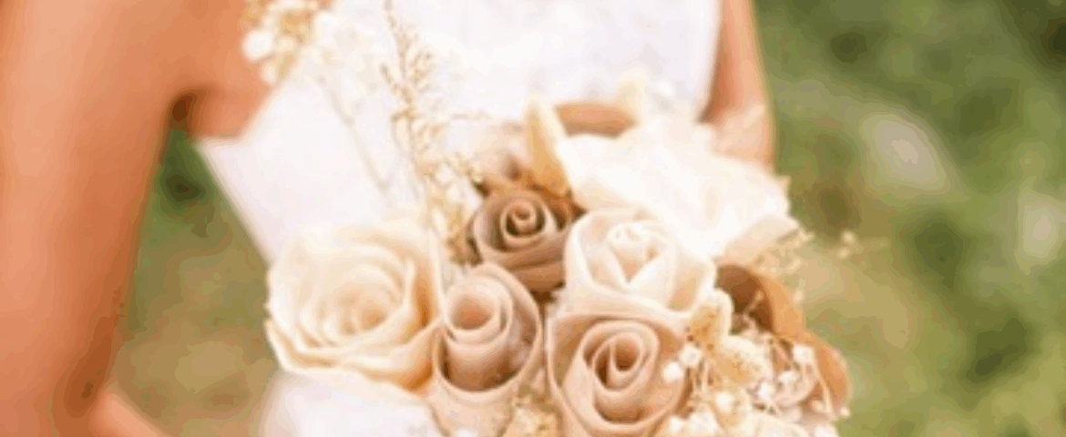 Colibrí Flowers - Portada