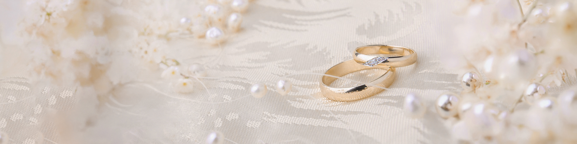 SGN Producciones - Portada