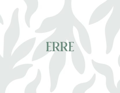 Estudio ERRE
