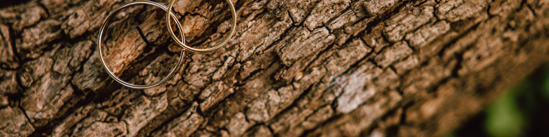 Agostina Gundin Fotografía - Portada