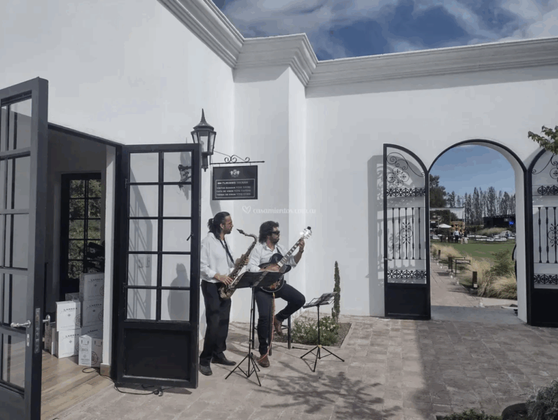 Música Viva – Y viva la Buena Música en Vivo! - Imagen principal