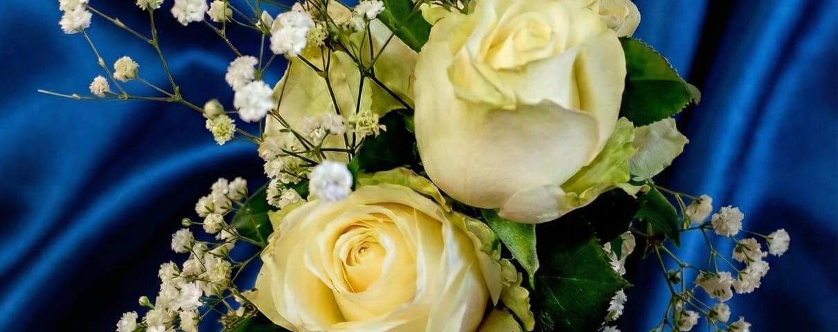 Flores Ana - Portada