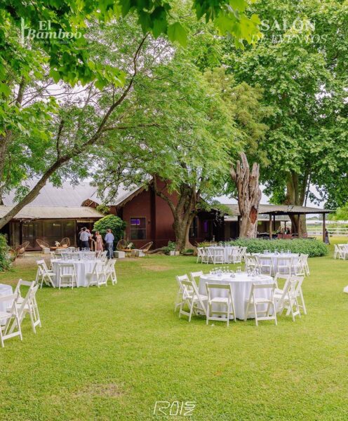 El Bamboo - Imagen principal