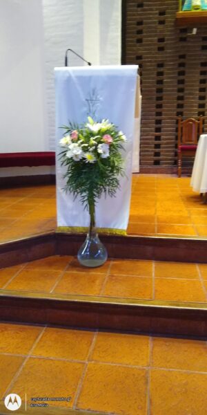 Flores Ana - Imagen principal