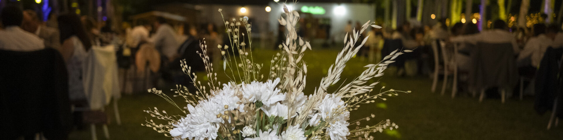 Erika Fotografía San Juan - Portada