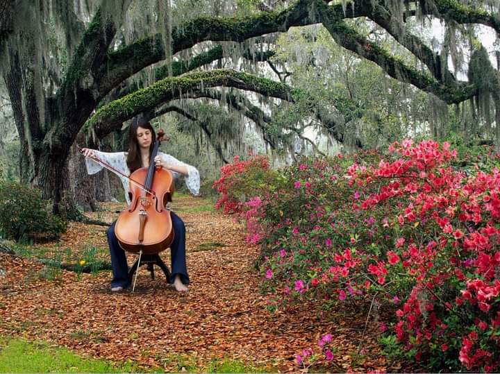 Música en vivo para eventos - Imagen principal
