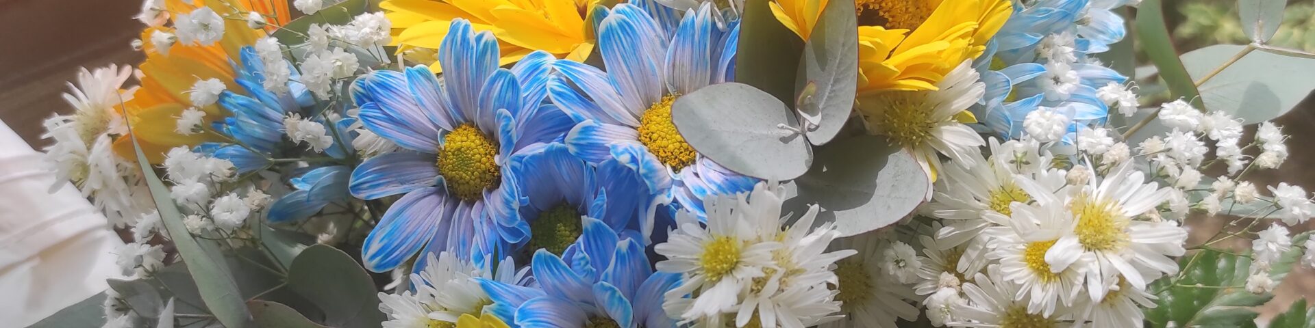 Angeles Makeup - Portada