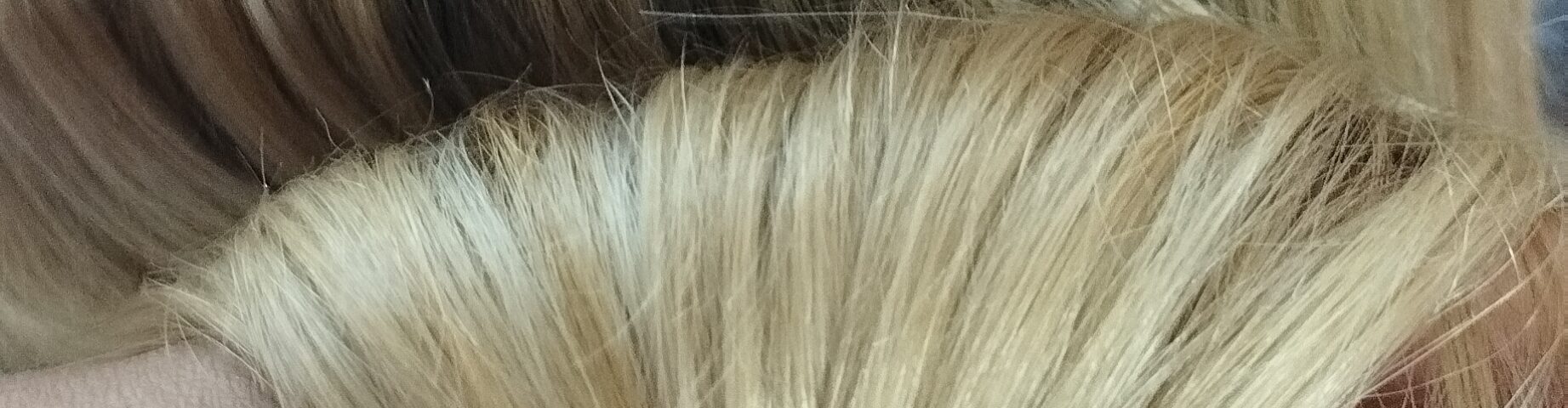 La Pelu de Sol - Portada