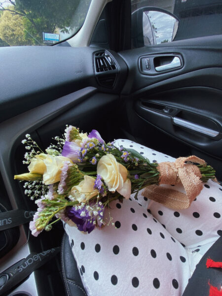 El mundo de Vidu - Imagen principal