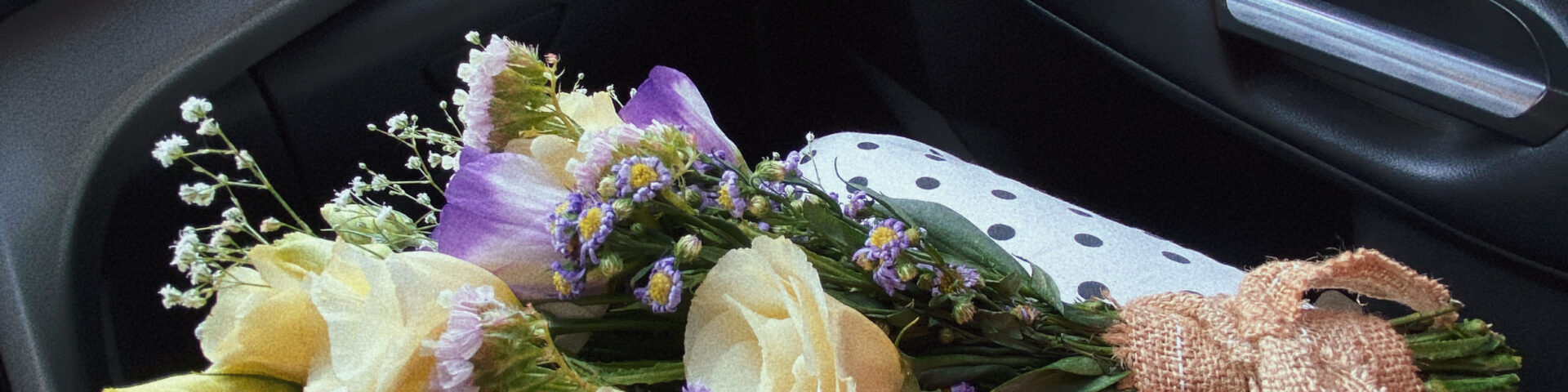 El mundo de Vidu - Portada