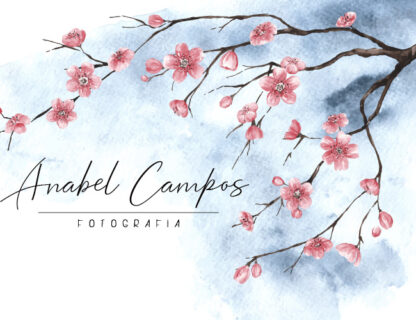 Anabel Campos fotografía