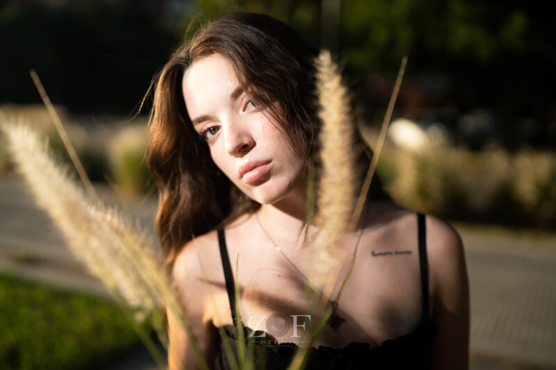 Zof-studio - Imagen principal