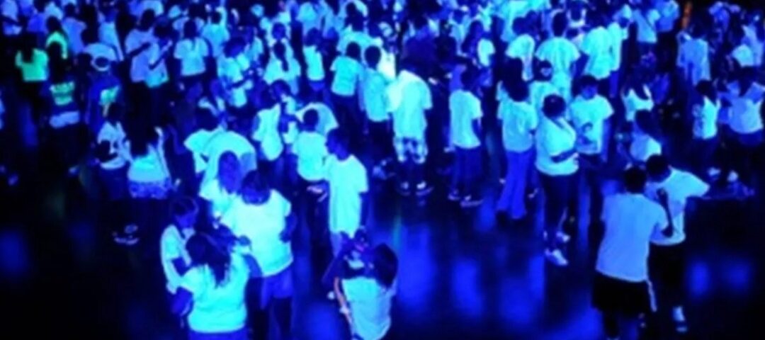 la pufferia - Portada