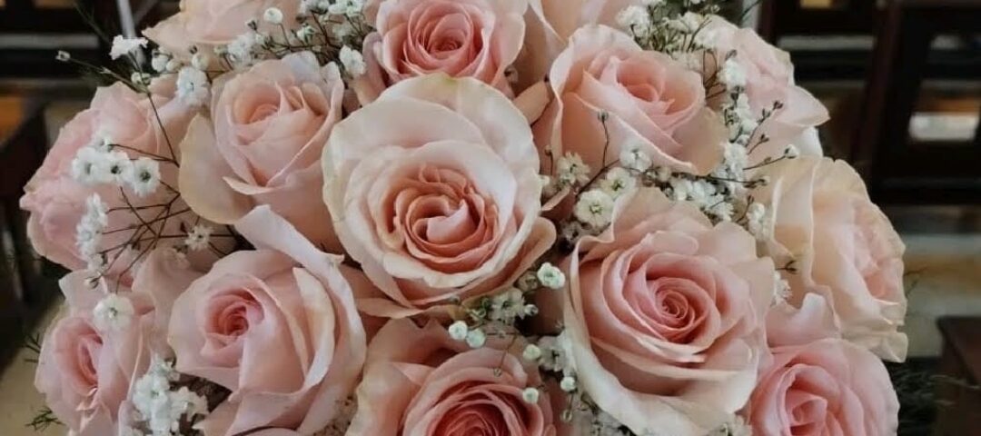 Sara Eventos - Portada