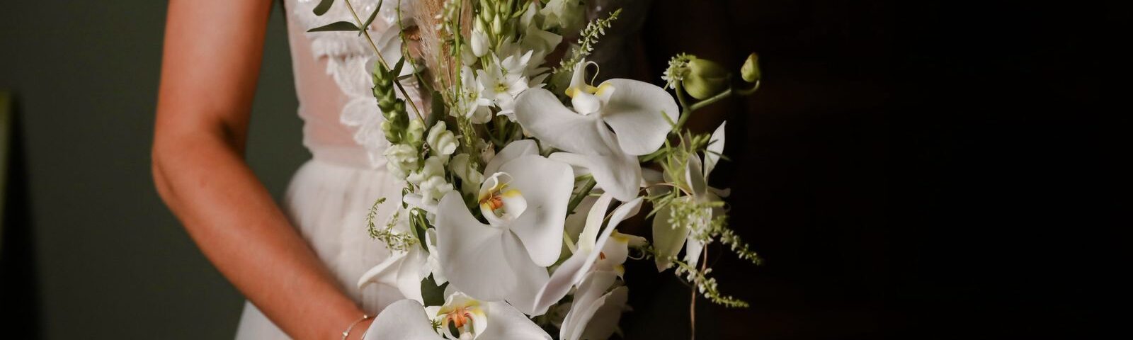 Bio bouquet - Portada