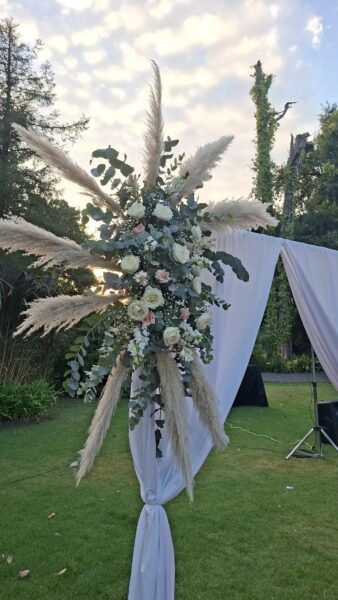 Coupes y Rosas - Imagen principal