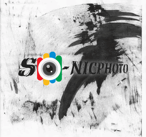 SO-NICPHOTOFILMS - Portada