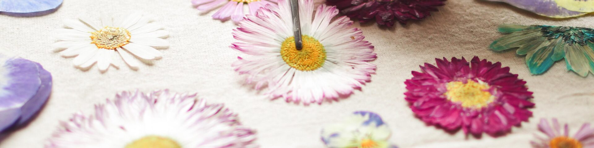 Florecer Arte Botánico - Portada