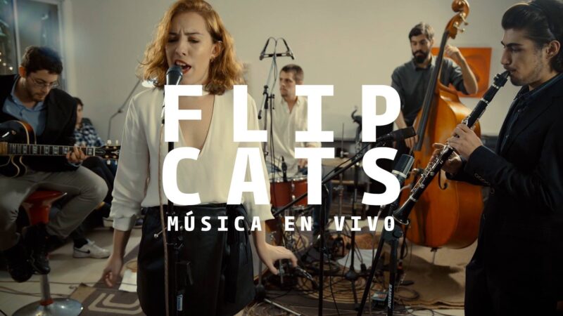 Flip Cats - Imagen principal