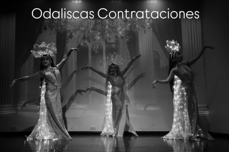 OdaliscasContrataciones - Imagen principal