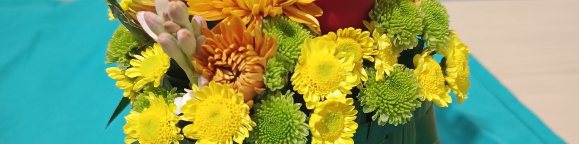 AMP artefloral - Portada