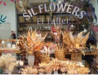 Silflowers