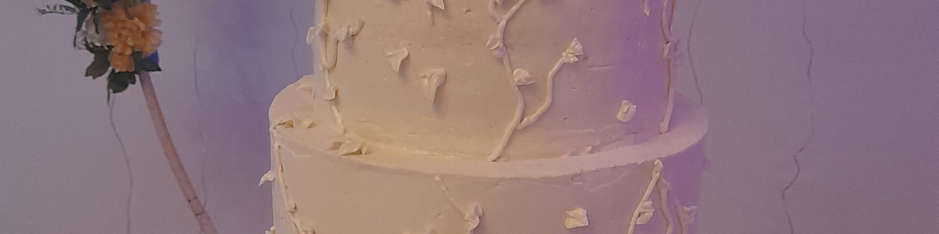 Carolina pastel - Portada