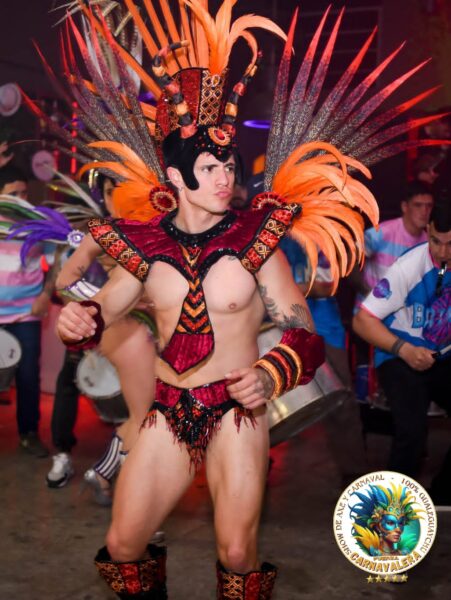 FUERZACARNAVALERA - Imagen principal