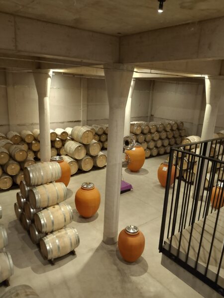 Cima urbana Wines & Eventours - Imagen principal