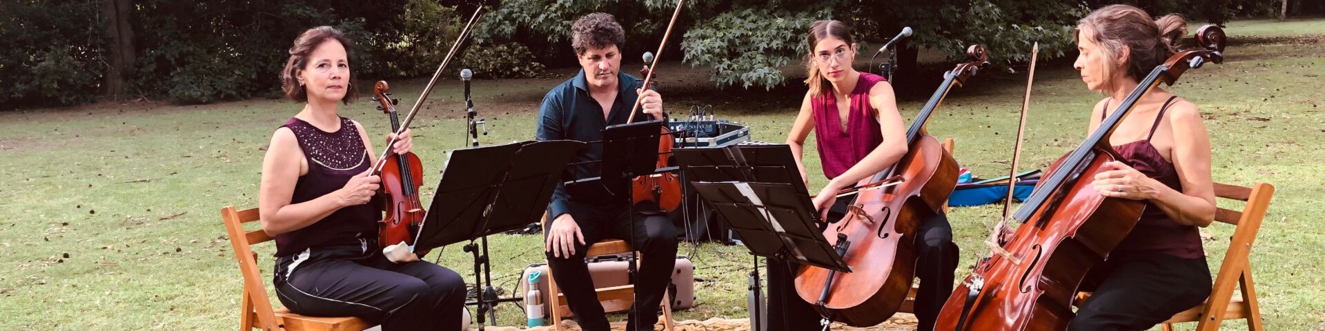 Cuarteto de Cuerdas Magenta - Portada