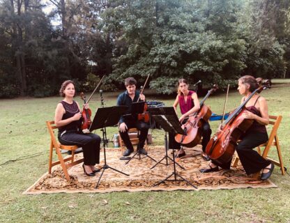 Cuarteto de Cuerdas Magenta