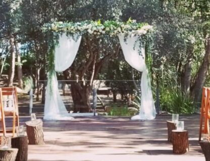 ikigai Ambientaciones