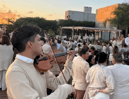 Violinista / Walter Diaz