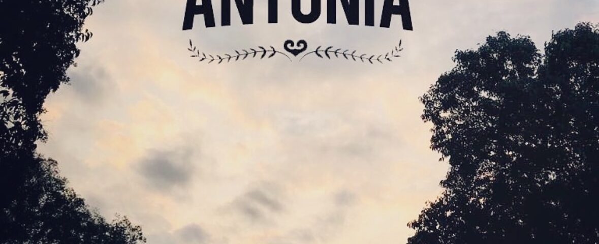 Antonia Multiespacio - Portada