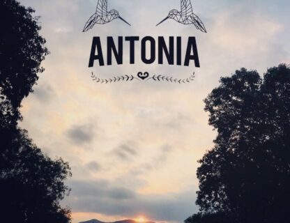 Antonia Multiespacio