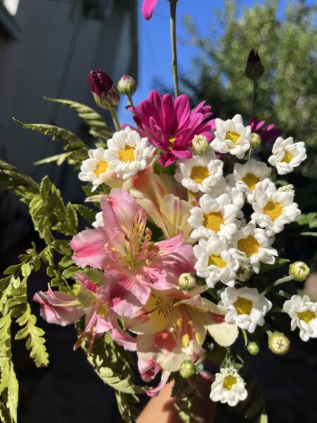 Elen detalle en flor - Imagen principal