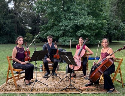 Cuarteto de Cuerdas Magenta