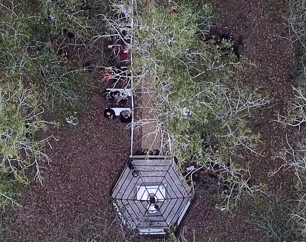 Juan Briseño - Portada