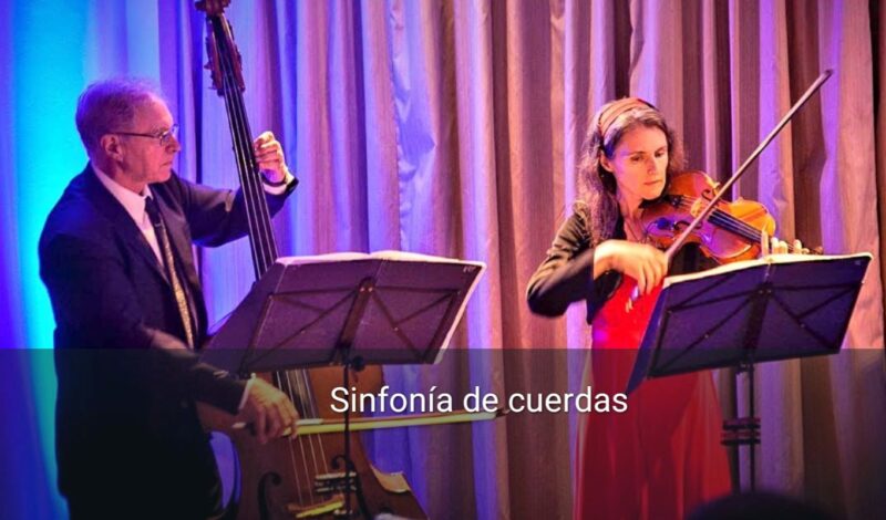 Strauss Musik - Imagen principal