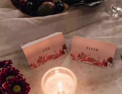 Boda de Teffo y Leo